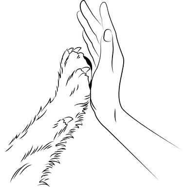 VetCRM